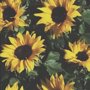 Meet your Posher, Yesenia